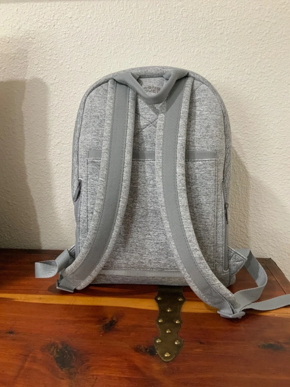 Like new Dagne Dover Backpack